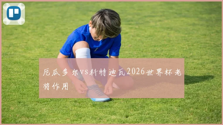厄瓜多尔vs科特迪瓦2026世界杯老将作用